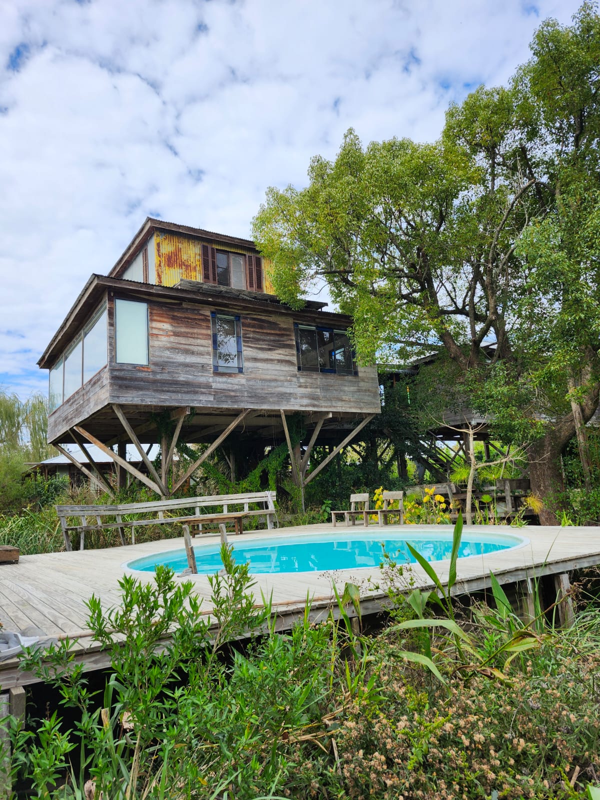 Casarbol Tigre — casa elevada sobre los árboles del Delta, con pileta y deck